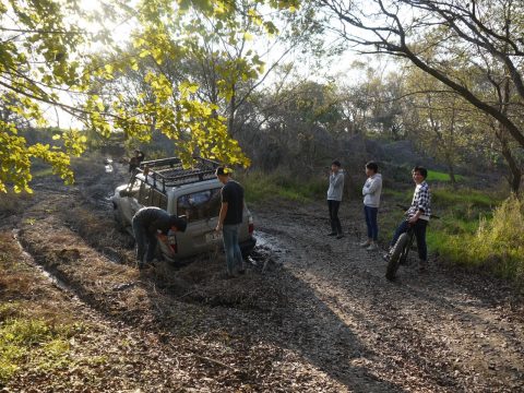 ランドクルーザー８０　LINE-Xオールペン　スタック中